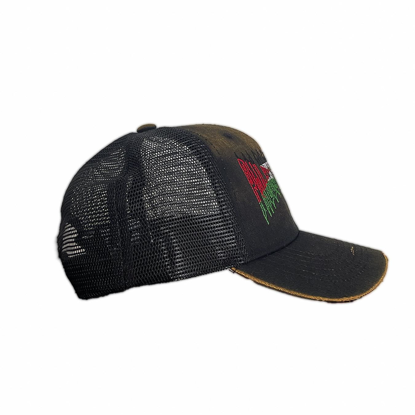 Gorra Palestina